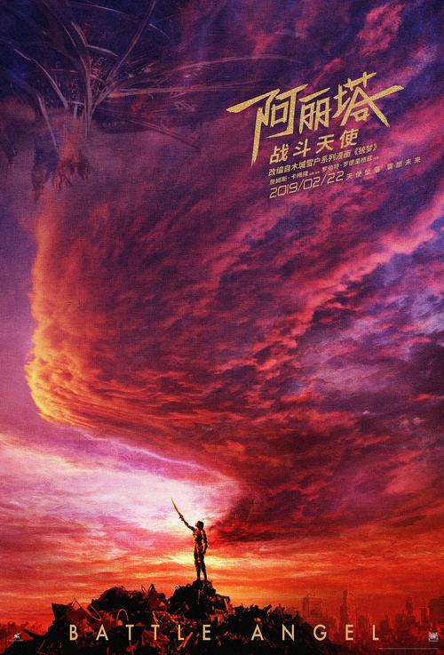 台湾驾驶证作假